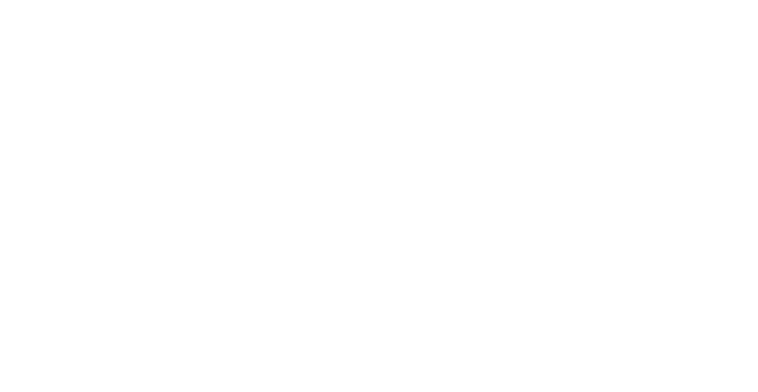 Allus Global BPO Center S.A.